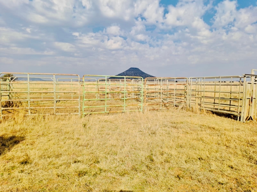 Commercial Property for Sale in Edenburg Free State